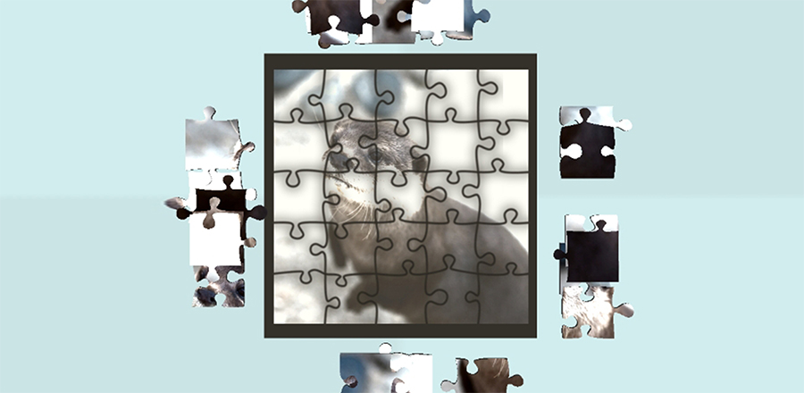 slider-image